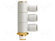 Push-in fitting; threaded,angled 90°; -1÷10bar; Thread: R 1/4" SMC