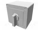 Switch: cam switch; Stabl.pos: 3; 20A; 1-0-2; in housing; Poles: 4 LOVATO ELECTRIC