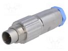 Connector: M9; plug; male; Plating: gold-plated; Urated: 60V; IP65 TE Connectivity
