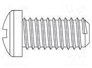 Screw; M2x6; 0.4; Head: cheese head; Phillips; polyamide; ISO 7045 DREMEC