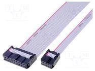 Ribbon cable with IDC connectors; Tape ph: 1.27mm; 0.6m AMPHENOL