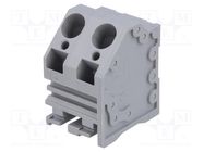 PCB terminal block; angled; 10mm; ways: 2; on PCBs; 0.2÷6mm2; 30A DEGSON ELECTRONICS