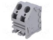 Connector: PCB terminal block; terminal; 30A; 300V; angled; tinned DEGSON ELECTRONICS