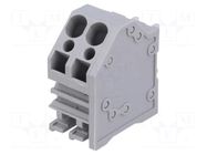 Connector: PCB terminal block; terminal; 20A; 300V; angled; tinned DEGSON ELECTRONICS
