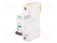 Circuit breaker; 230VAC; Inom: 32A; Poles: 1; Charact: D; 6kA; IP20 SCHNEIDER ELECTRIC