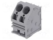 Connector: PCB terminal block; terminal; 66A; 300V; angled; tinned DEGSON ELECTRONICS