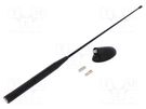 Antenna; AM,FM; Ford 4CARMEDIA