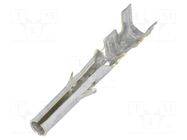 Contact; female; Standard .062"; tinned; 24AWG÷18AWG; bulk; 3.68mm MOLEX
