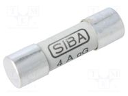 Fuse: fuse; gG; 4A; 500VAC; ceramic,cylindrical,industrial SIBA