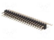 Connector: pin strips; pin header; male; PIN: 40; 2A; horizontal CONNFLY