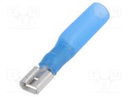 Terminal: flat; 6.3mm; 0.8mm; female; 1.5÷2.5mm2; crimped; blue NINIGI