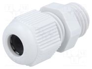 Cable gland; M12; 1.5; IP68; polyamide; grey FIBOX