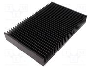 Heatsink: extruded; grilled; black; L: 200mm; W: 300mm; H: 40mm FISCHER ELEKTRONIK