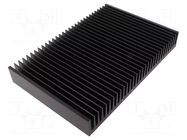 Heatsink: extruded; grilled; black; L: 200mm; W: 300mm; H: 40mm FISCHER ELEKTRONIK