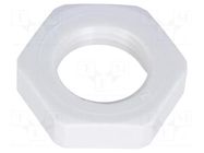 Nut; PG7; polyamide; 19mm; Thread: PG FIBOX