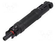 Coupler; IP67; straight; 15A; 10.3x38mm; solar male,solar female NINIGI