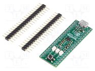 Dev.kit: ARM Texas; prototype board; Comp: MSP432P401RIRGC MIKROE