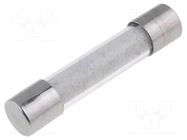 Fuse: fuse; 12.5A; 250VAC; time-lag; cylindrical,glass; 6.3x32mm ESKA