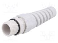 Cable gland; with strain relief; M20; 1.5; IP68; polyamide; grey BM GROUP