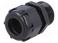 Cable gland; with long thread; PG21; IP68; polyamide; black BM GROUP