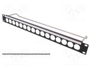 Mounting adapter; patch panel; screw; Thread: UNC 4-40; rack; 19" CLIFF