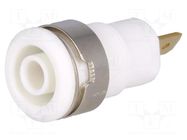 Connector: 4mm banana; socket; 24A; 1kV; Cutout: Ø12.2mm; white STÄUBLI