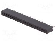 Pin socket; PIN: 12; 1x12; 2.54mm DISPLAY VISIONS