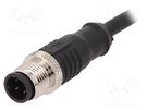 Plug; M12; PIN: 4; male; D code-Ethernet; IP67; 250V; 4A; straight BULGIN