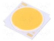 Power LED; white warm; COB; 2970-3110K; 2027÷4800lm; 120°; 56.92W ProLight Opto