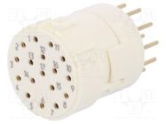 Connector: M23; contact insert; PIN: 17; female; THT; 160V; 8A 