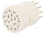 Connector: M23; contact insert; PIN: 17; female; THT; M23 Signal; 8A HARTING