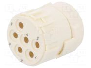 Connector: M23; contact insert; PIN: 6; female; crimped; M23 Signal HARTING