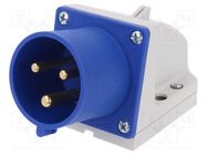 Connector: AC supply; socket; male; 32A; 230VAC; IEC 60309; IP44 PCE