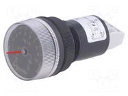 Timer; 22mm; Harmony XB5; -20÷60°C; IP65; 24VDC; Ømount.hole: 22mm SCHNEIDER ELECTRIC