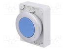 Switch: push-button; 30mm; Stabl.pos: 1; blue; none; IP67; RMQ-Titan EATON ELECTRIC