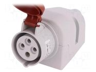 Connector: AC supply 3-phase; socket; female; 16A; 400VAC; IP44 PAWBOL