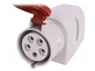Connector: AC supply 3-phase; socket; female; 32A; 400VAC; IP44 PAWBOL