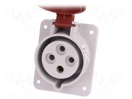 Connector: AC supply 3-phase; socket; female; 32A; 400VAC; IP44 PAWBOL