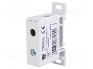 Splice terminal: rail; 125A; 600V; screw terminal; grey; 50mm2 PAWBOL