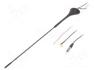 Antenna; 0.41m; AM,DAB,FM; with amplifier; 5m; 10dB; 12VDC 4CARMEDIA