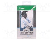 Filament lamp: automotive; P20d; white-blue; 12V; 60W; BLUE LUCAS