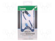 Filament lamp: automotive; PK22s; dark blue; 12V; 100W; RALLY LUCAS