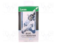 Filament lamp: automotive; P43t; white-blue; 12V; 60/55W; BLUE LUCAS