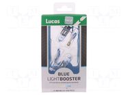 Filament lamp: automotive; PK22s; white-blue; 12V; 55W; BLUE LUCAS