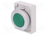 Control lamp; 30mm; RMQ-Titan; -25÷70°C; Illumin: M22-LED; Ø30.5mm EATON ELECTRIC