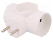 Connector: AC supply; splitter; 2P; 250VAC; 16A; Type: round; white PAWBOL