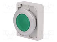 Switch: push-button; 30mm; Stabl.pos: 1; green; M22-FLED,M22-LED 