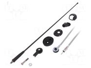 Antenna; car top; 0.41m; AM,FM; Ford; 2.45m; Ømount.hole: 8mm CALEARO