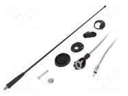 Antenna; car top,automotive; 400mm; AM,FM; 2.7m MTA