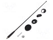 Antenna; car top,automotive; 400mm; AM,FM; Ømount.hole: 10.2mm MTA